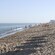 A beach with people, beach chairs and umbrellas near trees and a city